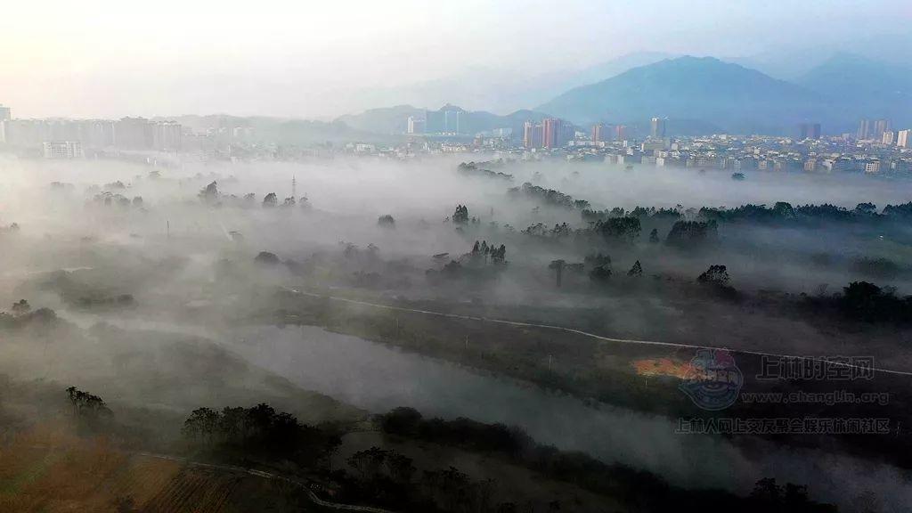 为什么骆驼能在沙漠长期生活？游戏画面